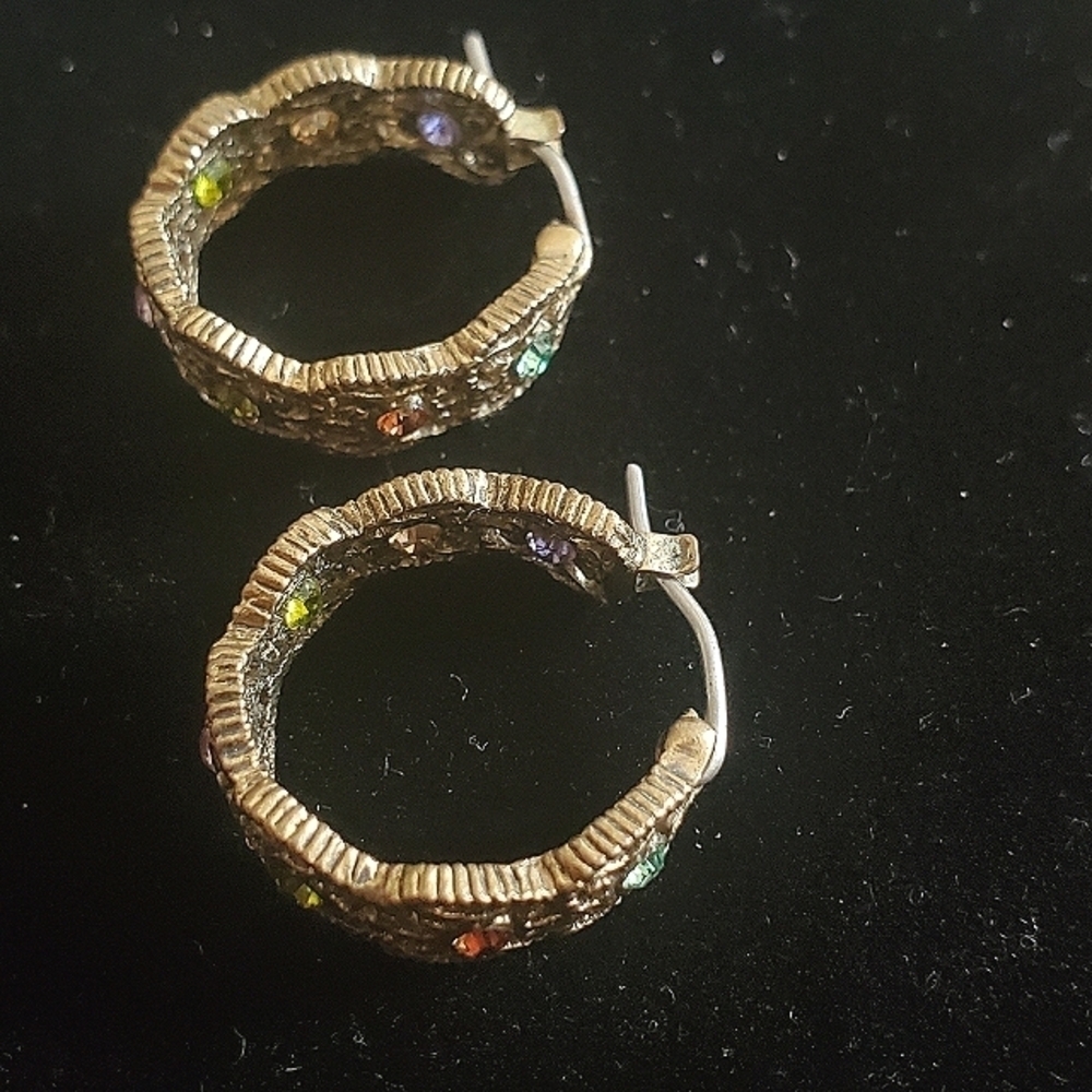 Gold Tone Circled Earrings. 🌴